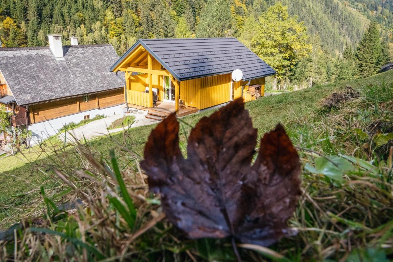 Ferienhaus Almhuette Meinezeit *