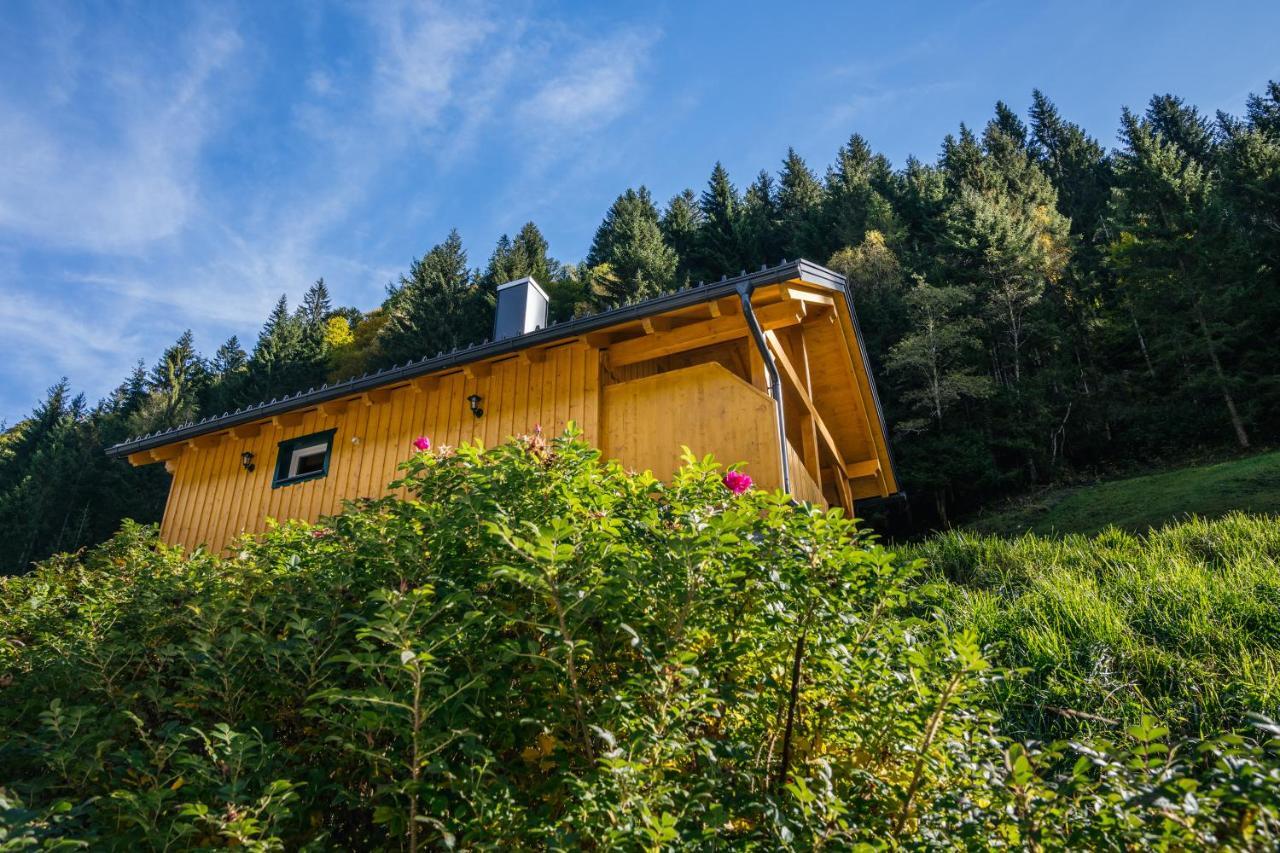 Almhuette Meinezeit Ferienhaus